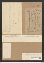 Grammatophora robusta Ehr. (de-Toni-Nr.: Genus 93, Species 3049) Zeichnungen Sammlung Grunow Nr. 6191 (NHMW-BOT-W0374765)